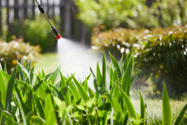 24/7 Emergency Wasp Removal experts in Holly Springs, MS